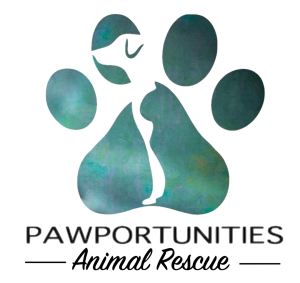 PAWPORTUNITIES